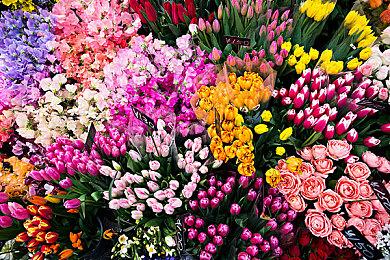 《空洞骑士：丝之歌》确认不包含内购 请玩家们不要紧张